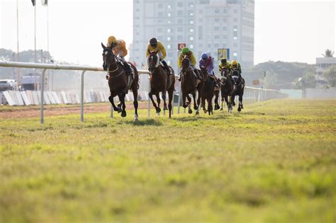 cavalobet,corridas de cavalos hoje